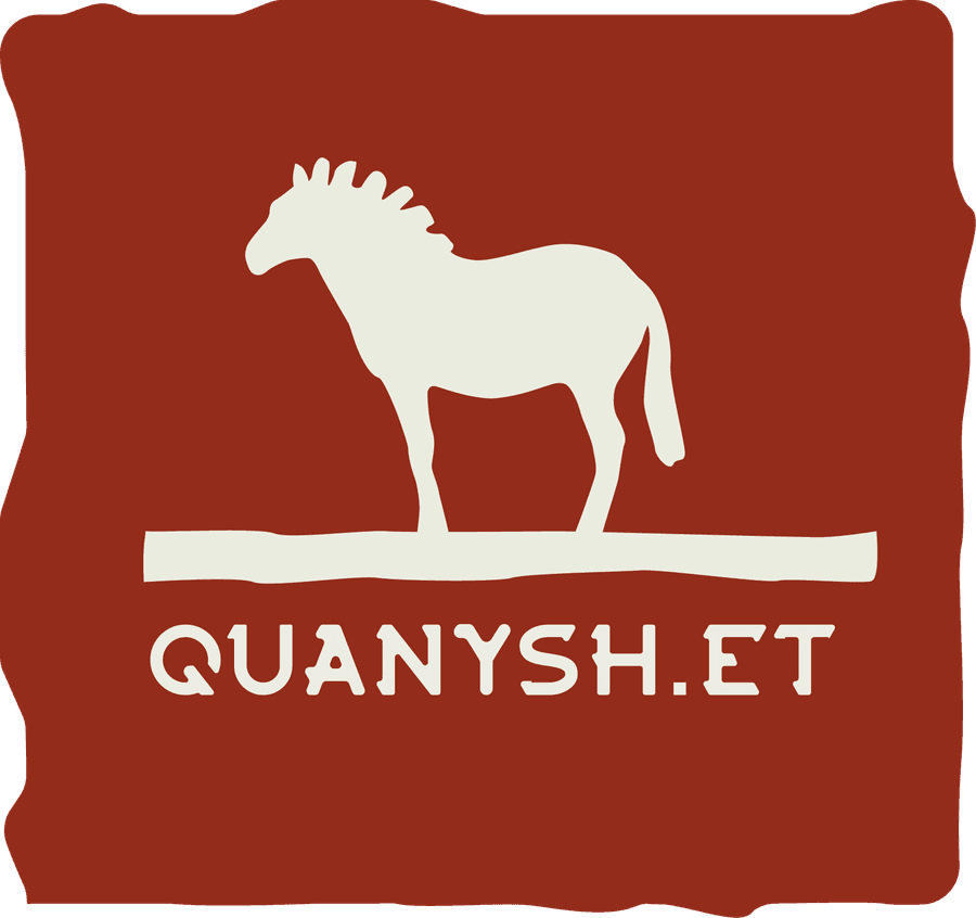 QUANYSH.ET